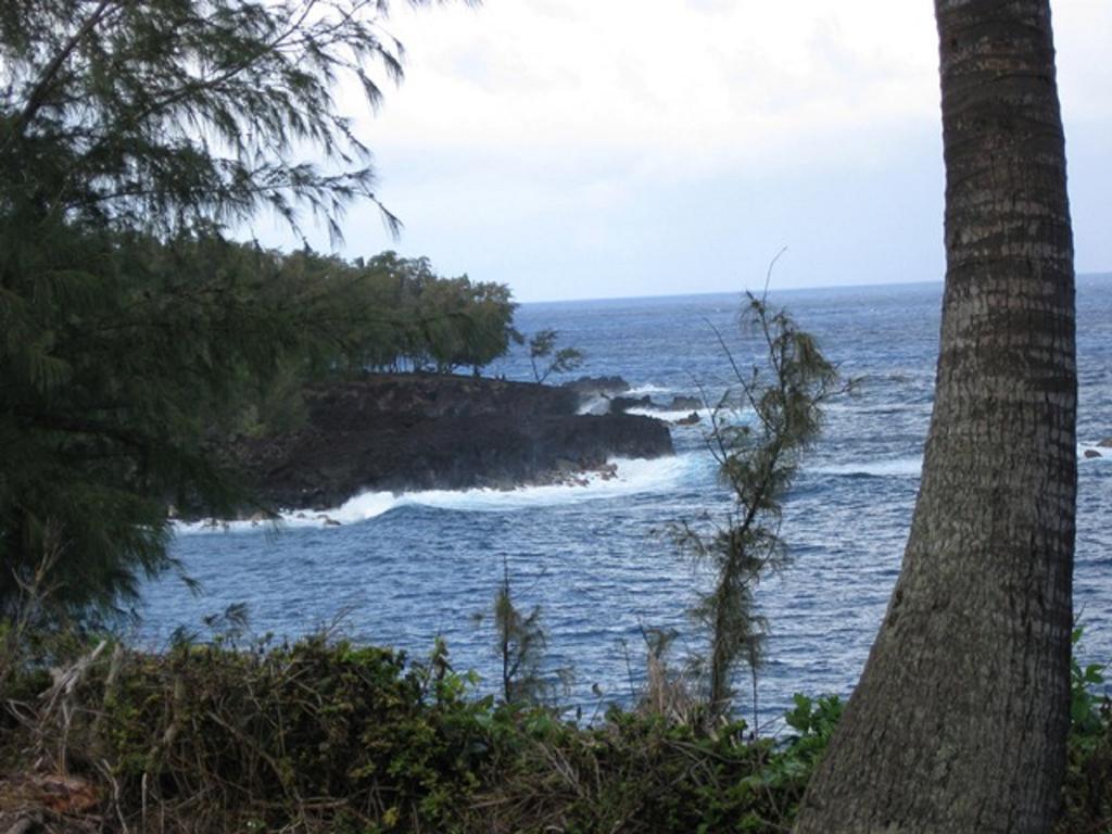Coconut Palms Vacation Rental Near Lava Fields And Beaches Kehena Kültér fotó