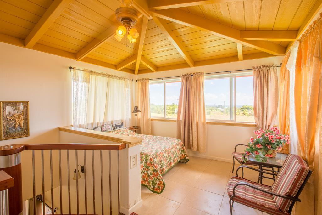 Coconut Palms Vacation Rental Near Lava Fields And Beaches Kehena Kültér fotó