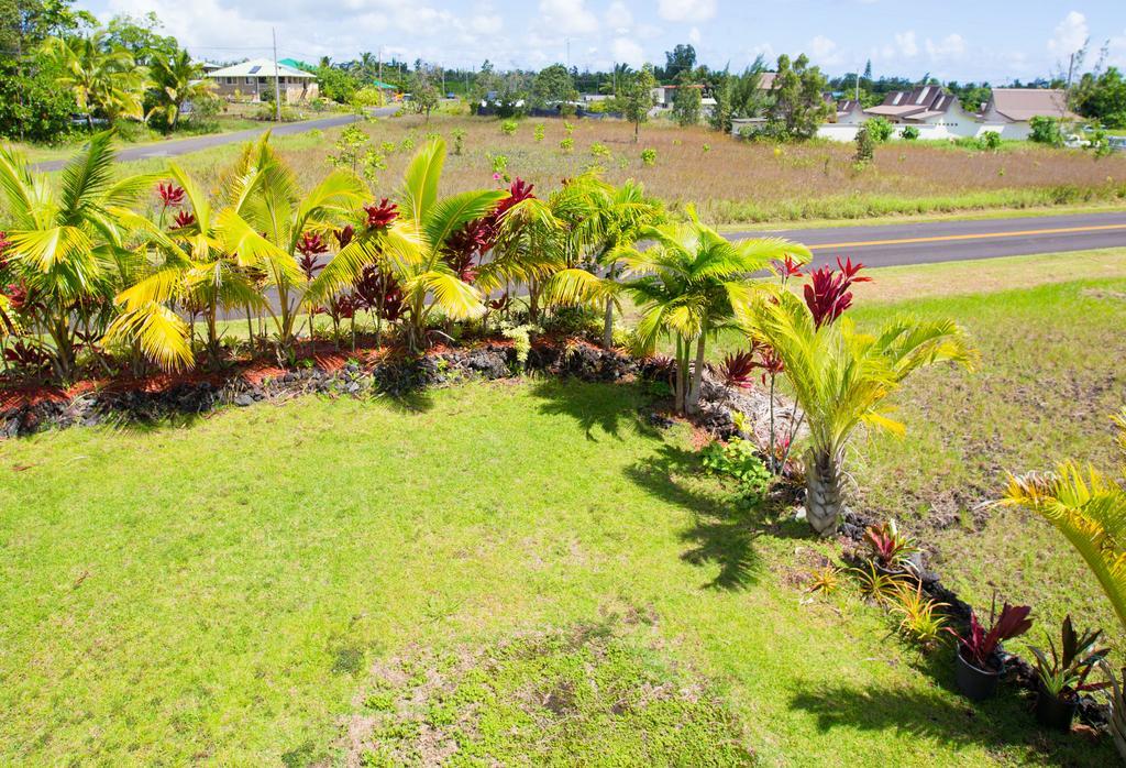 Coconut Palms Vacation Rental Near Lava Fields And Beaches Kehena Kültér fotó