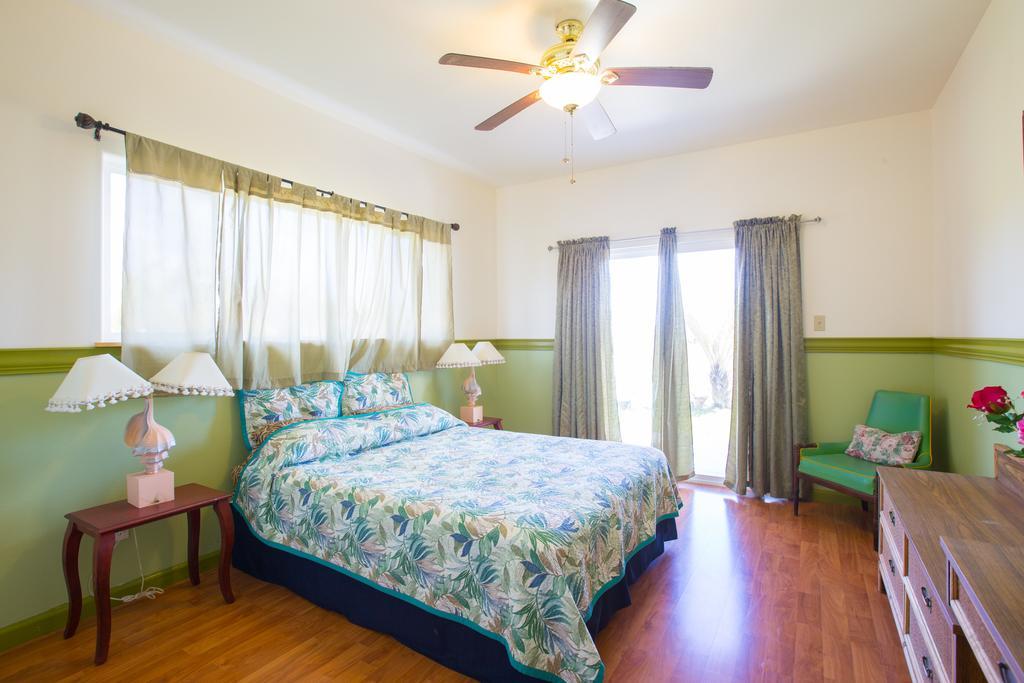Coconut Palms Vacation Rental Near Lava Fields And Beaches Kehena Kültér fotó