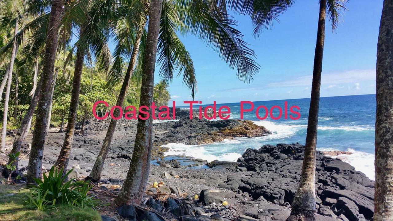 Coconut Palms Vacation Rental Near Lava Fields And Beaches Kehena Kültér fotó